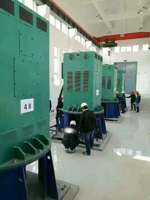 泰丰办事处某污水处理厂使用我厂的立式高压电机安装现场